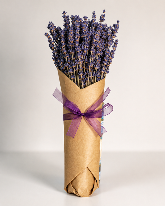 Lavender, Bundle, Paper